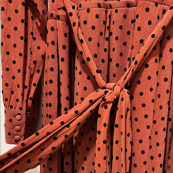 Unique Vintage Plus Size 1970s Rust & Black Polka Dot Farrah Maxi Dress - Picture 6 of 8